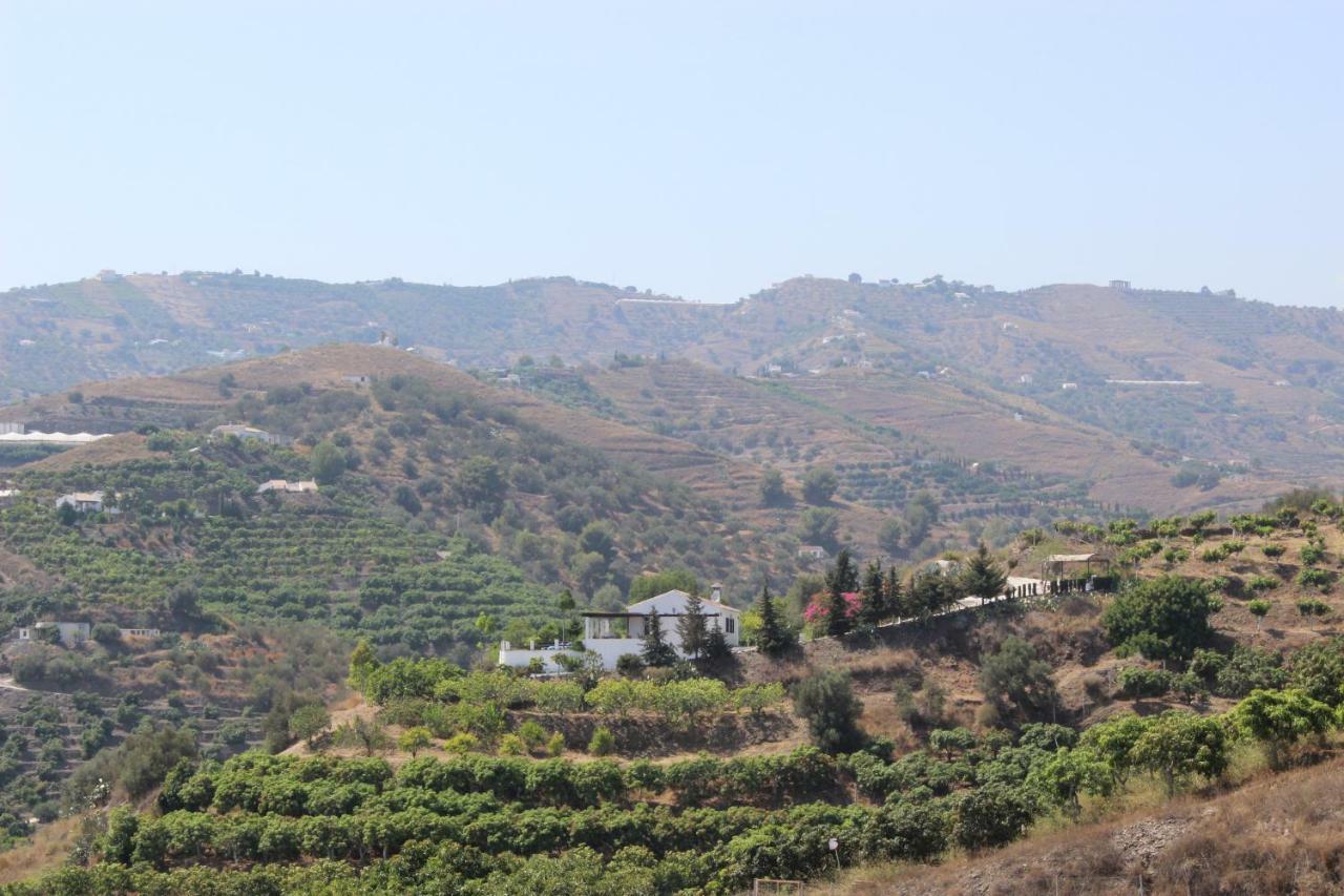 Villa Del Sol فريجيليانا المظهر الخارجي الصورة